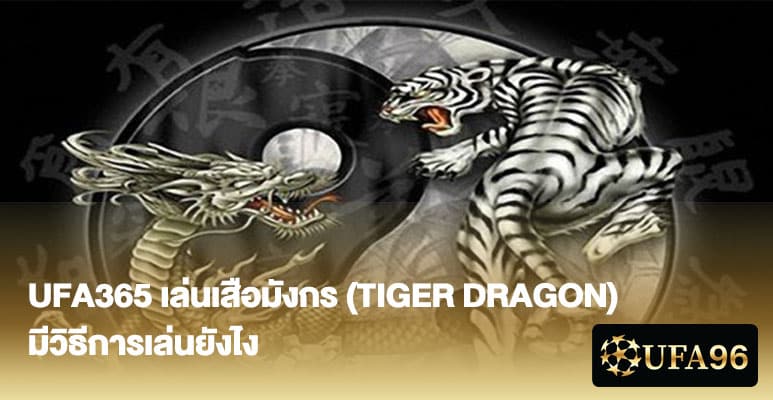 UFA365 เล่นเสือมังกร (Tiger Dragon)