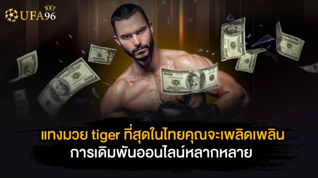 แทงมวย tiger